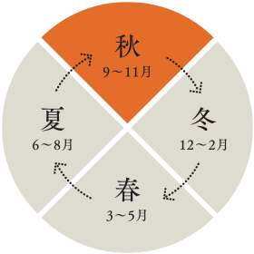 秋の四季菓子