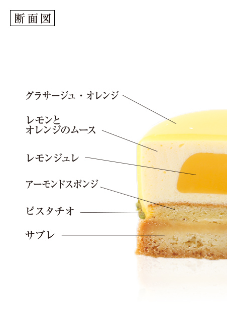   向日葵