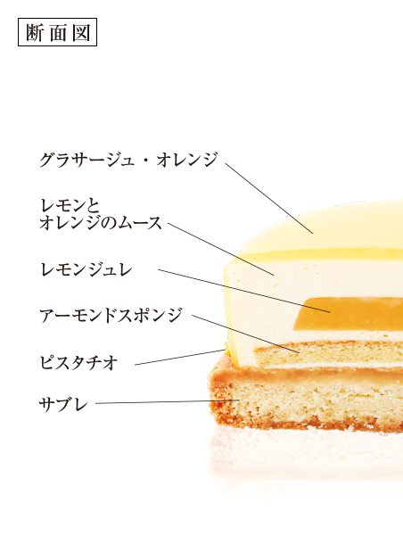   向日葵